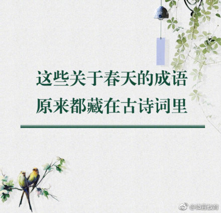 形容花开的成语有哪些（描写花的超唯美的诗词） 第1张