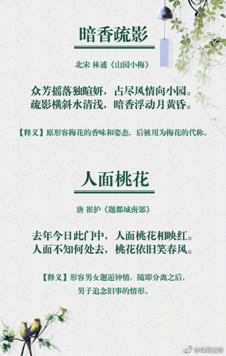 形容花开的成语有哪些（描写花的超唯美的诗词） 第9张
