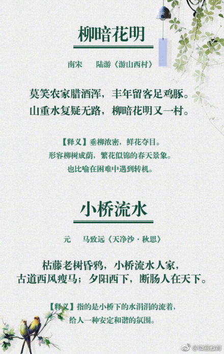 形容花开的成语有哪些（描写花的超唯美的诗词） 第13张