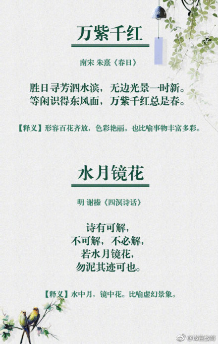 形容花开的成语有哪些（描写花的超唯美的诗词） 第15张
