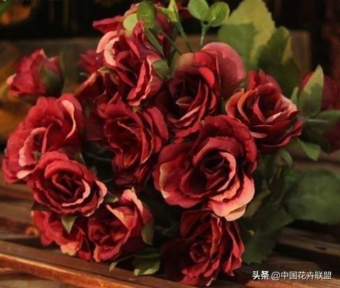 26种常见玫瑰花品种集合 第31张