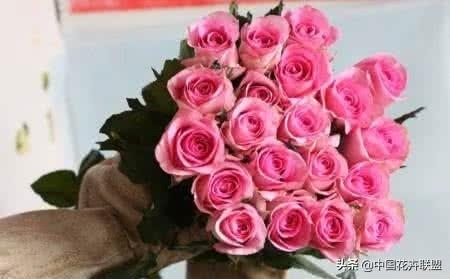 26种常见玫瑰花品种集合 第35张