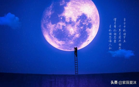 形容夜晚美景的句子（描写夜晚景色的好句） 第7张