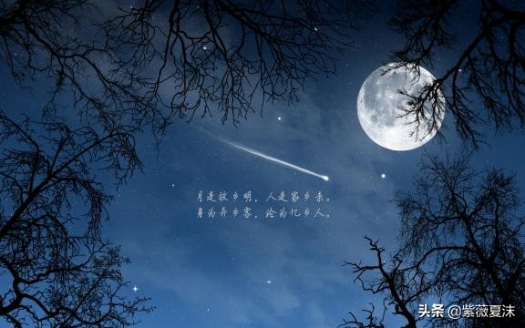形容夜晚美景的句子（描写夜晚景色的好句） 第9张