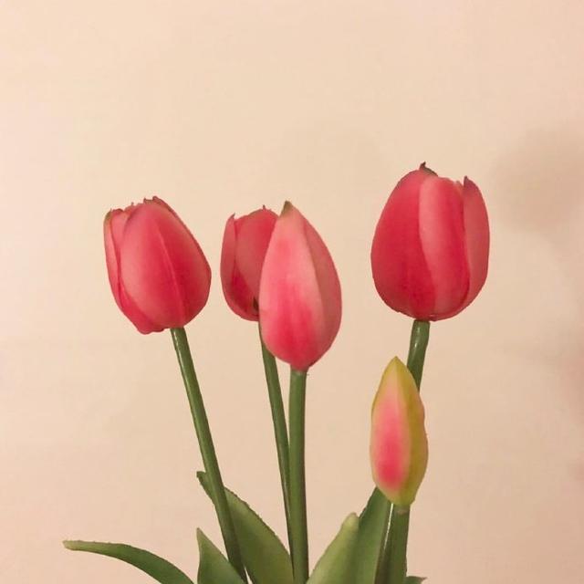 祝母亲节的祝福语大全（三八妇女节的佳句） 第1张