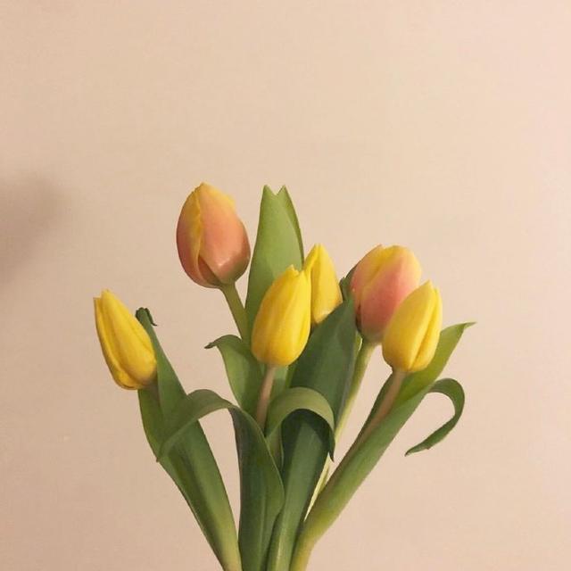 祝母亲节的祝福语大全（三八妇女节的佳句） 第3张