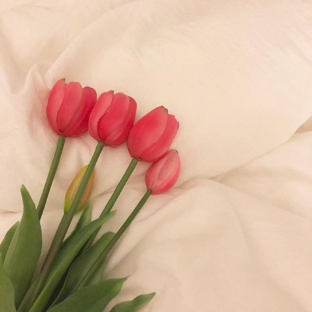 祝母亲节的祝福语大全（三八妇女节的佳句） 第9张