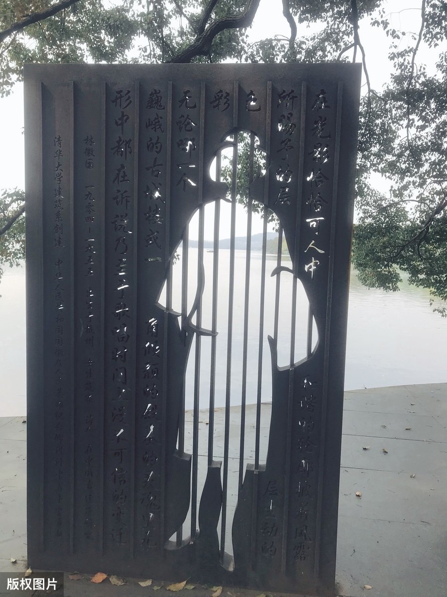 蝴蝶飞不过沧海徐志摩（你若盛开蝴蝶自来全诗） 第9张