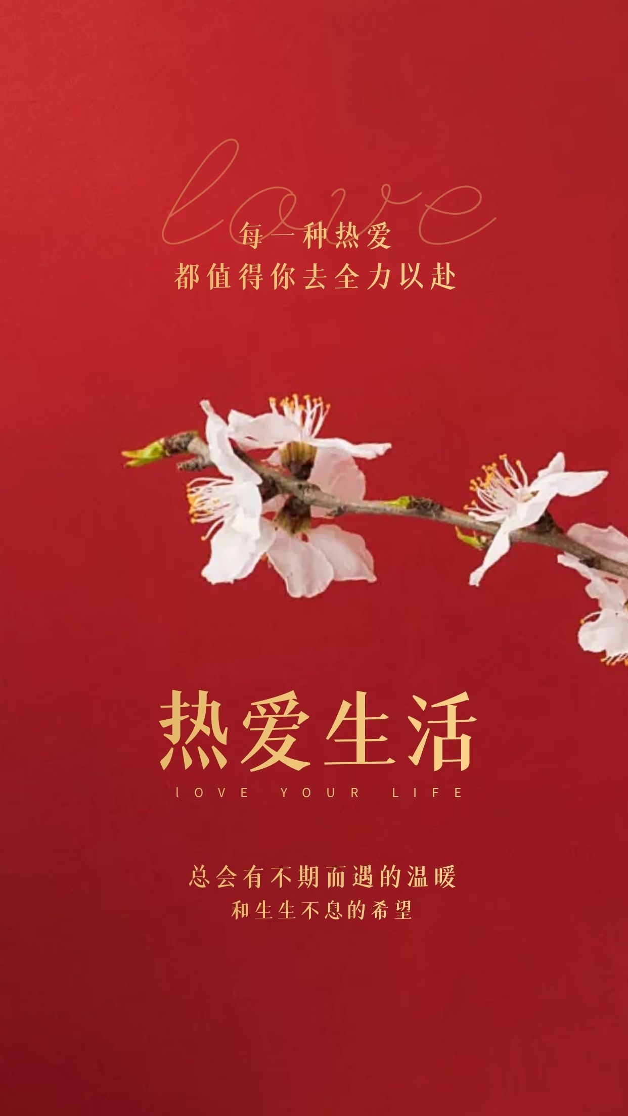加油打气的句子短语（加油打气励志的短句） 第15张