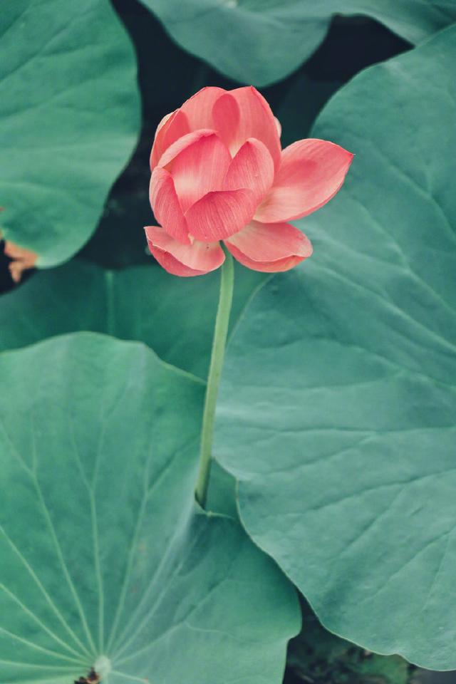 生活的句子说说心情（生活现实句子说说心情） 第9张