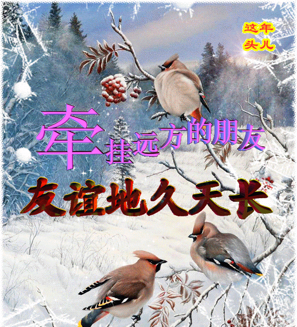 天气冷了注意保暖的句子（注意保暖特别暖心的话） 第1张