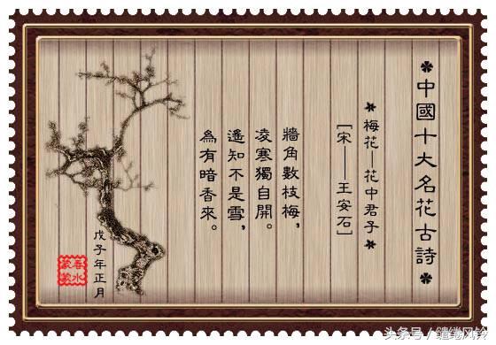牡丹诗词大全（最有名的牡丹诗） 第1张