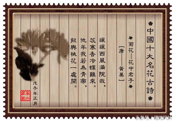 牡丹诗词大全（最有名的牡丹诗） 第5张