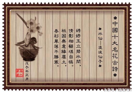 牡丹诗词大全（最有名的牡丹诗） 第7张