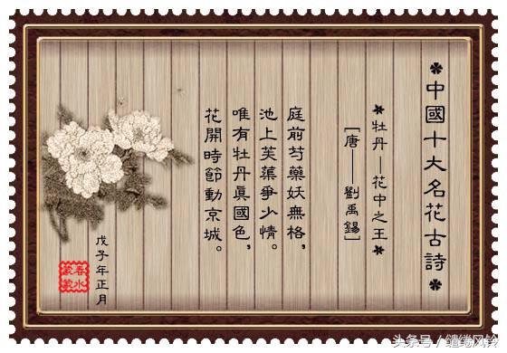 牡丹诗词大全（最有名的牡丹诗） 第11张