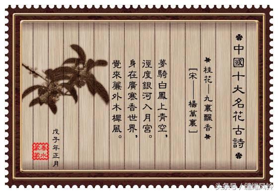 牡丹诗词大全（最有名的牡丹诗） 第17张