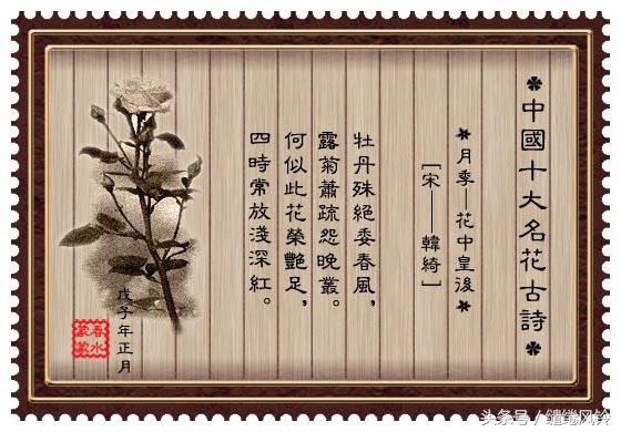 牡丹诗词大全（最有名的牡丹诗） 第19张
