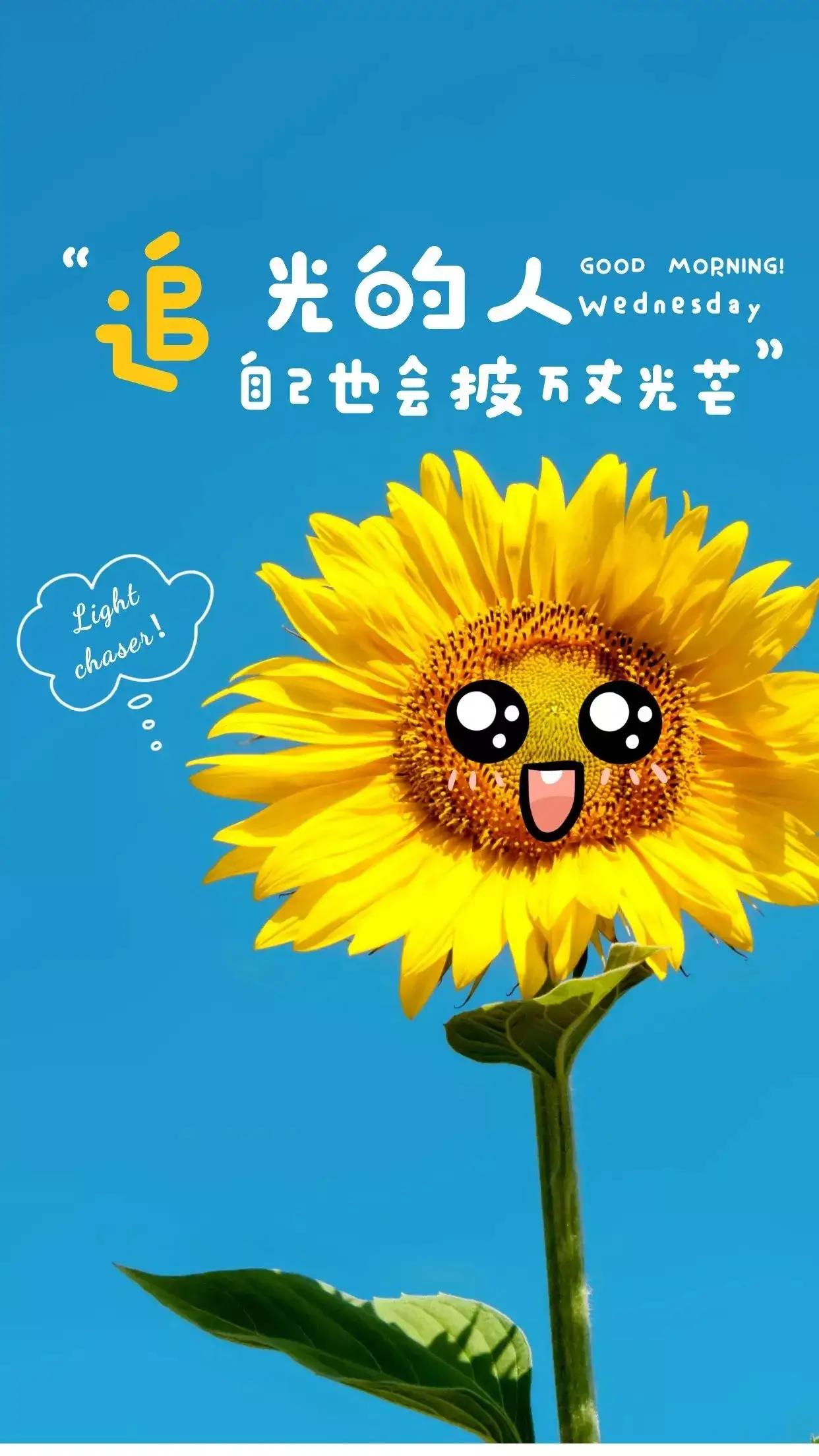 形容向日葵的唯美句子（描写向日葵的优美语句） 第1张