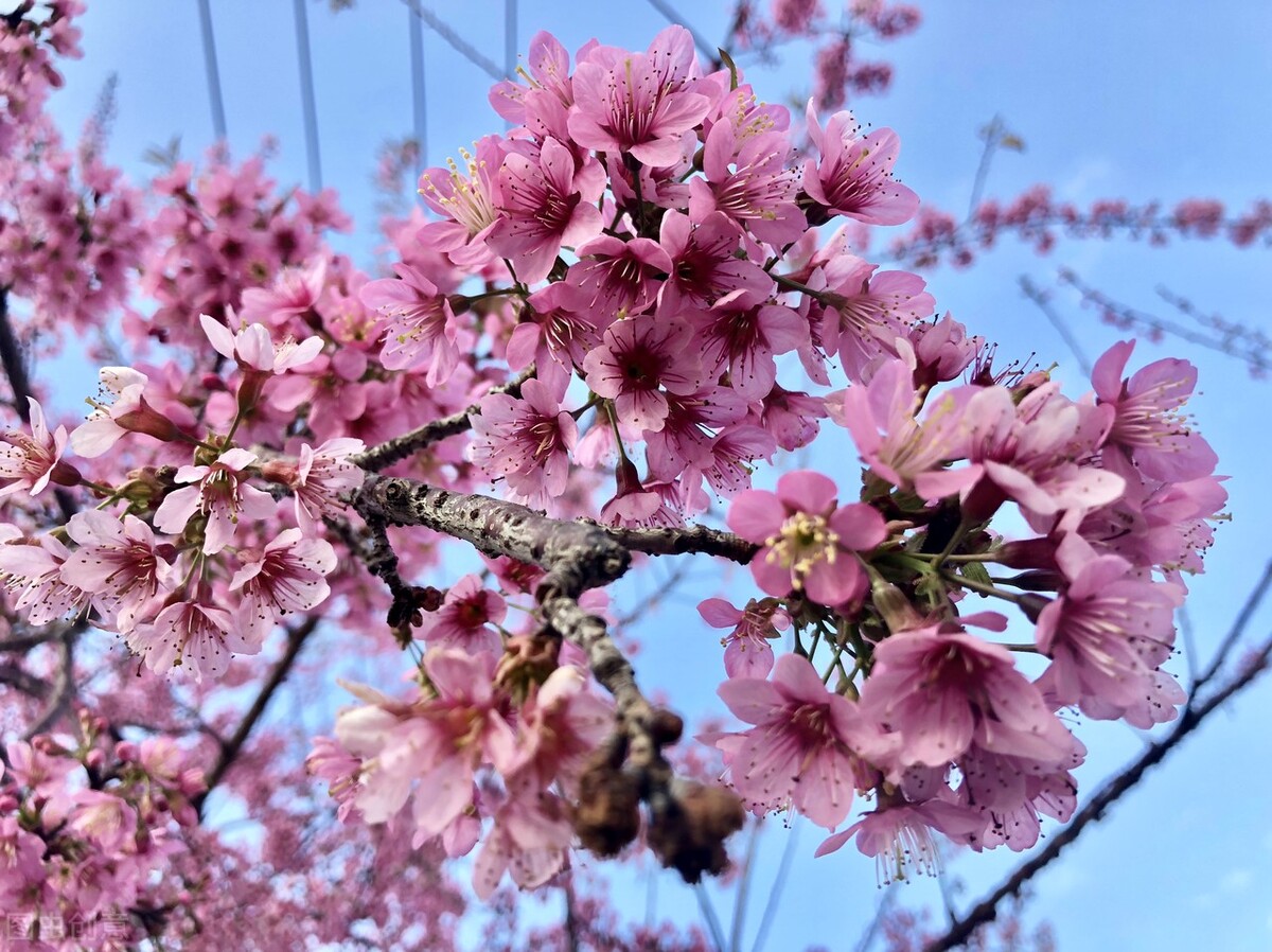 凄美诗句唯美短句（经典伤感诗句大全唯美） 第3张