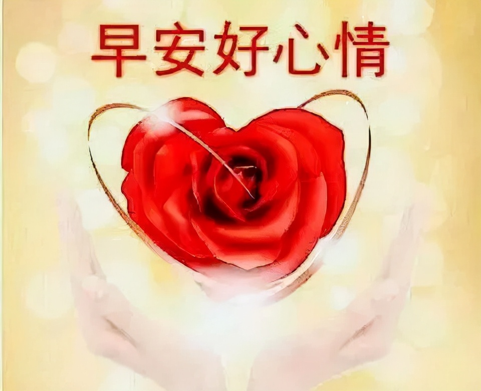 每天早安问候语（特别暖心的早安句子） 第13张