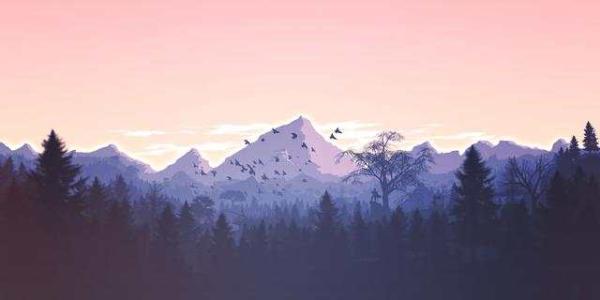描写森林的优美句子（写森林的美景诗句） 第1张