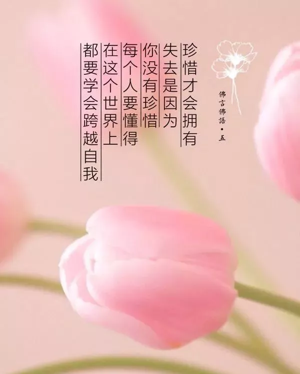 最真诚的祝福语（美好祝愿的简短句子） 第5张
