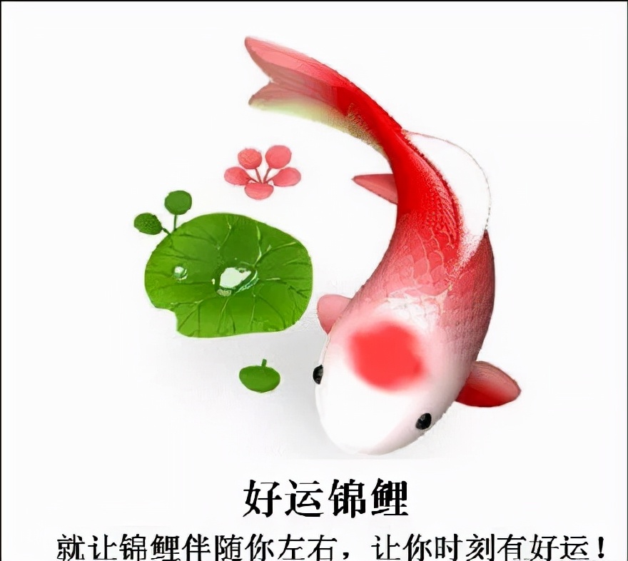最真诚的祝福语（美好祝愿的简短句子） 第9张