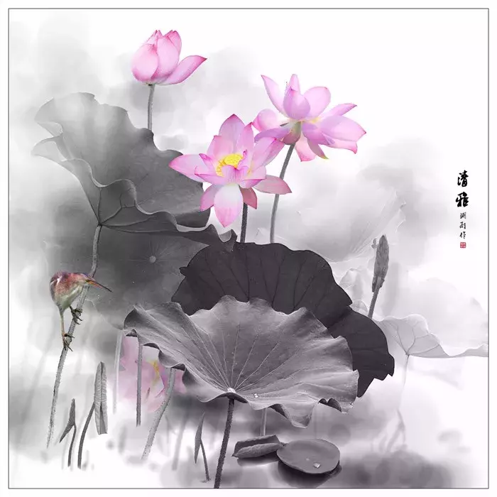 有关莲的诗句有哪些（关于莲花的古诗美句） 第1张