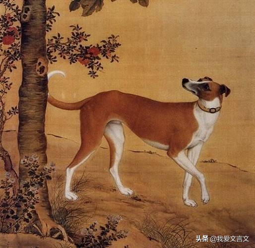 智犬破案文言文翻译及注释（智犬破案文言文启示） 第7张