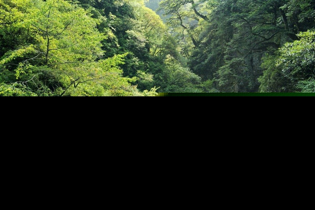白云泉白居易赏析（白云泉古诗翻译） 第7张