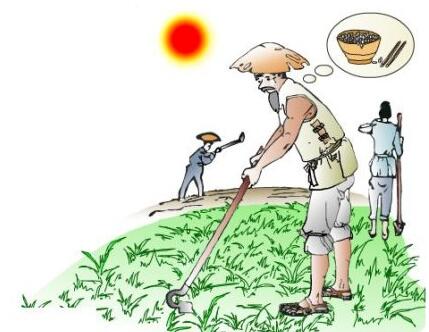 悯农其二古诗的意思翻译（唐诗李绅悯农二首） 第3张