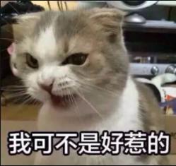 脑筋急转弯：有一只猪，走到了英国，结果它变成了什么？ 第17张