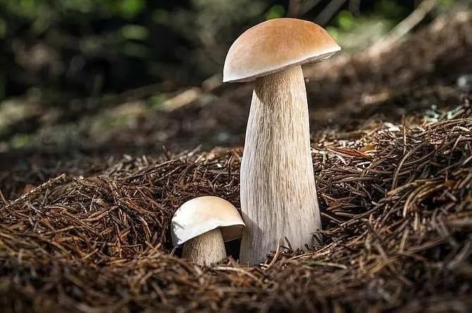 看了冰雪奇缘的感受是什么（冰雪奇缘对我们的启发） 第5张