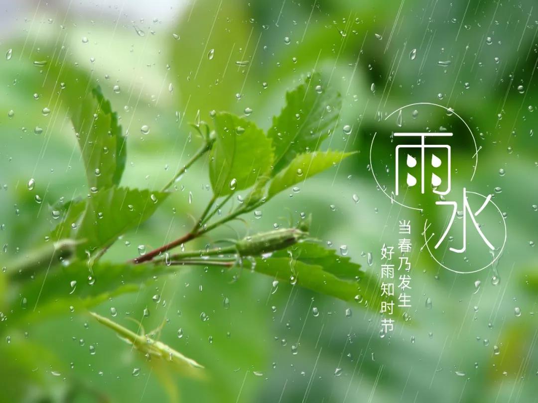 雨水节气的诗词歌赋（雨水节气的古诗名句） 第1张