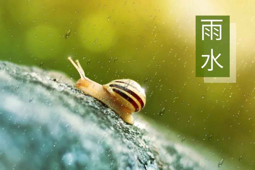 雨水节气的诗词歌赋（雨水节气的古诗名句） 第3张