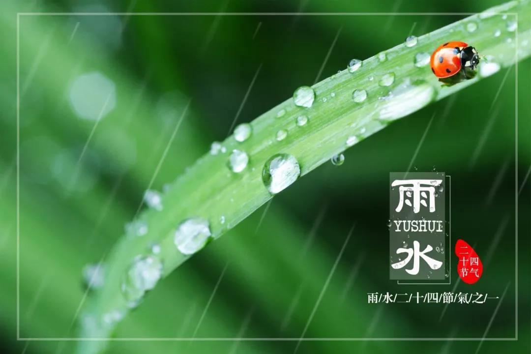 雨水节气的诗词歌赋（雨水节气的古诗名句） 第5张