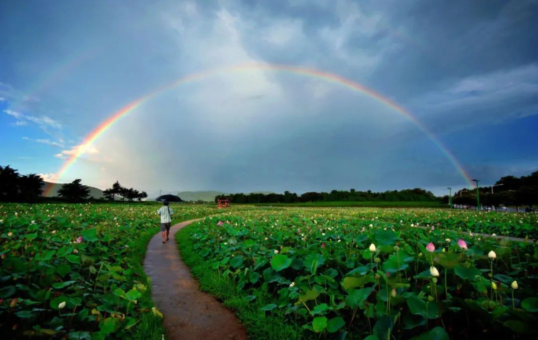 雨后彩虹的句子唯美（下雨过后的彩虹心情经典句子） 第35张