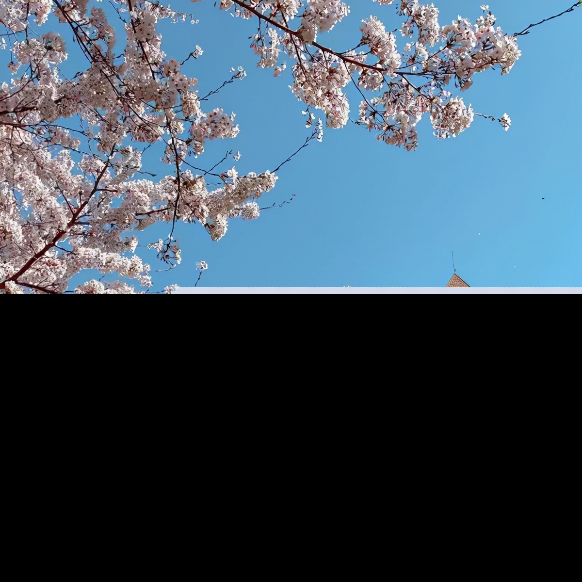 形容天气晴朗的句子唯美（好天气好心情简短唯美句子） 第19张