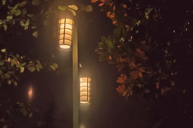 童年好词好句摘抄（积累童年的好词好句好段） 第15张