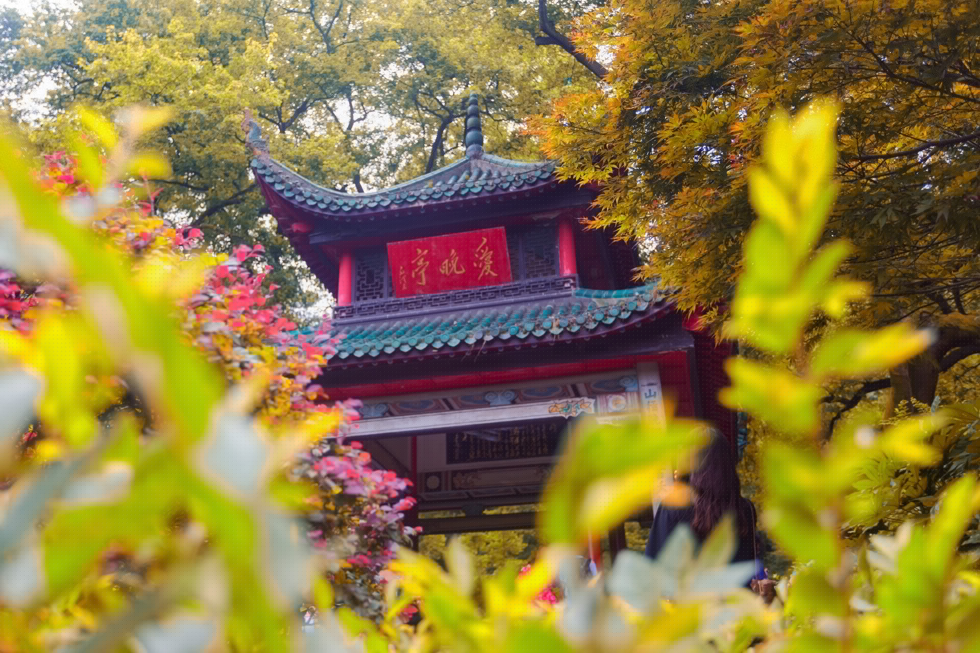 描写春天景色的诗（描写春天景色的好句子） 第3张