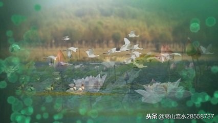 如梦令常记溪亭日暮赏析（李清照如梦令常记溪亭日暮） 第9张