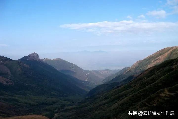 咏春的诗句有哪些（关于咏春的诗句古诗） 第17张