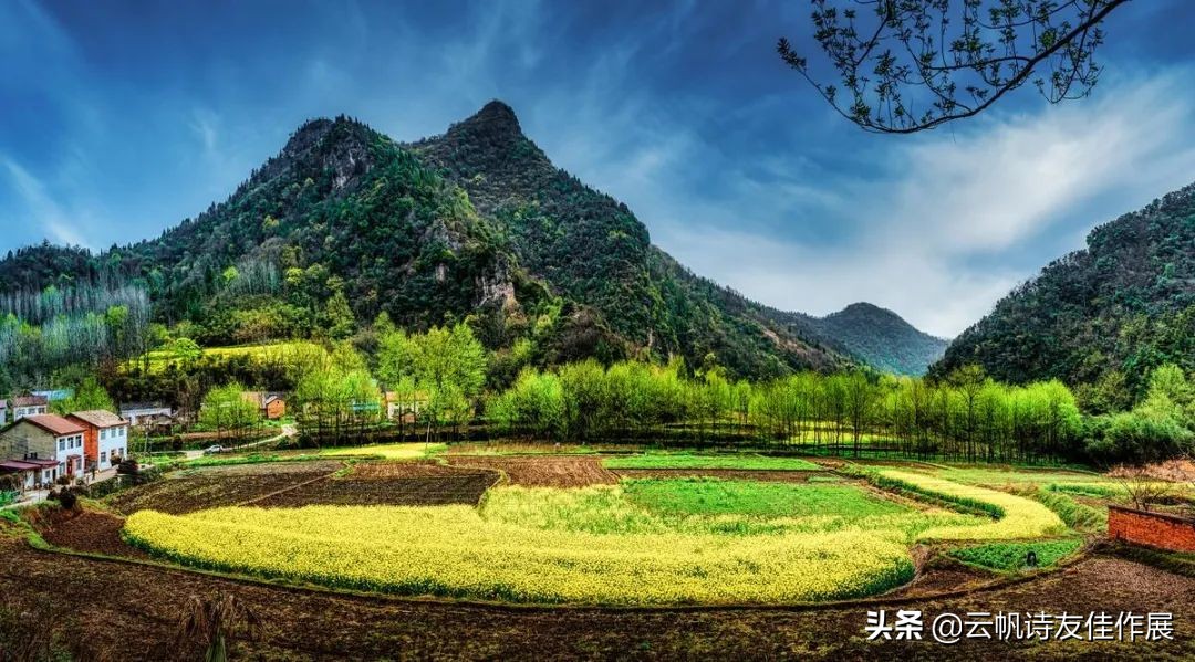 咏春的诗句有哪些（关于咏春的诗句古诗） 第19张