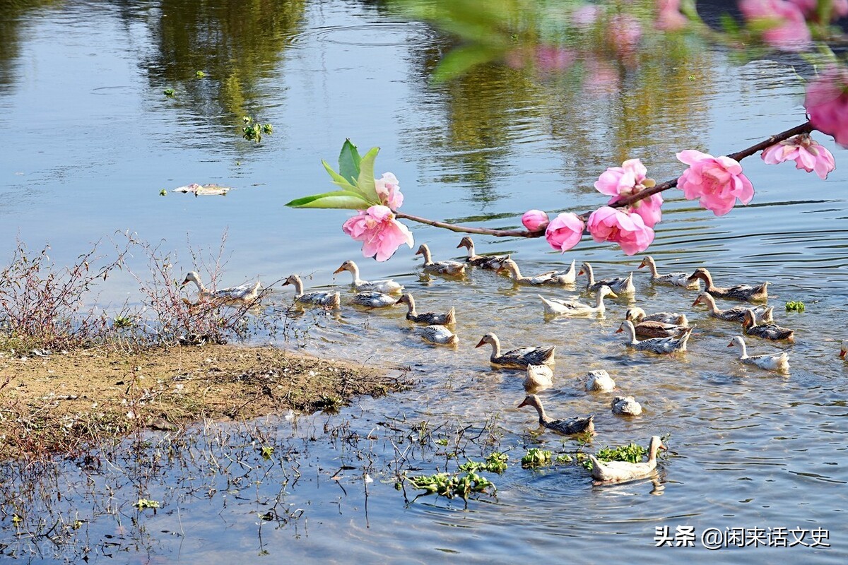 关于春的诗句有哪些（与春天有关的诗句） 第5张