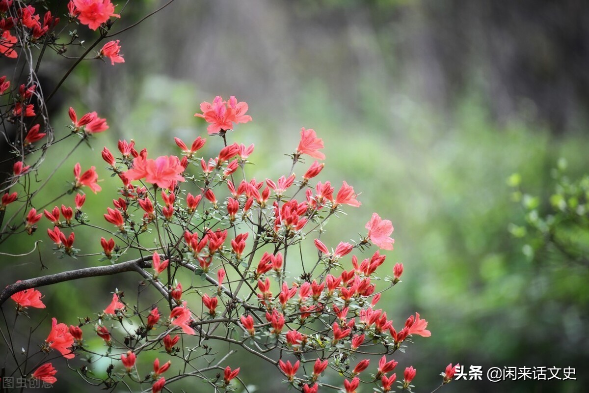 关于春的诗句有哪些（与春天有关的诗句） 第7张