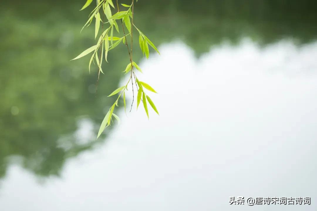 初春的句子说说心情（描写初春的句子分享） 第5张