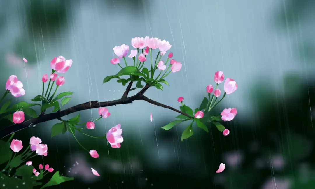 描写谷雨的诗句（谷雨的著名诗句） 第21张