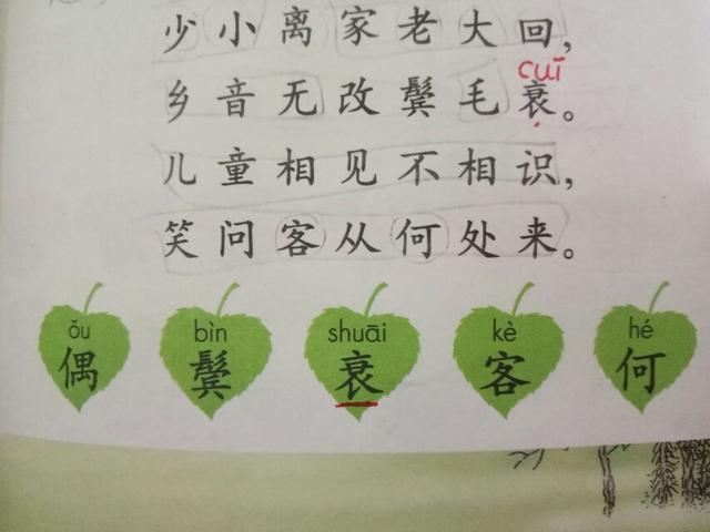 回乡偶书古诗的意思（回乡偶书诗意鉴赏） 第1张