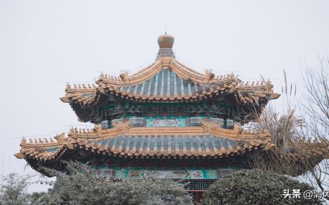 情人节句子浪漫语录（情人节文案短句欣赏）