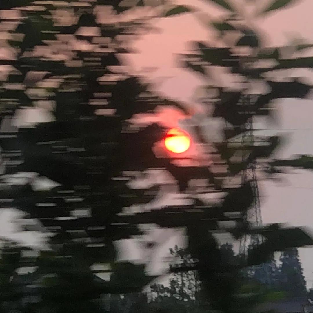 厌世的句子有哪些（高级厌世文案欣赏） 第3张